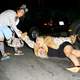 Clark Gable's Granddaughter Kayley Doesn't Give A Damn